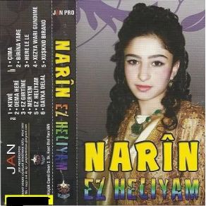 Download track Ez Girtime Narin