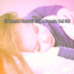 Download track Insomnias Erasure Sleep Sounds Of Nature