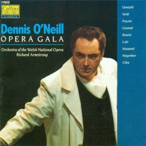 Download track 07. Puccini - Turandot - Nessun Dorma Welsh National Opera Orchestra, Dennis O'Neill