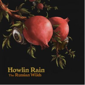 Download track Strange Thunder Howlin Rain