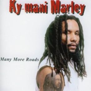 Download track Hailie I Ky - Mani Marley