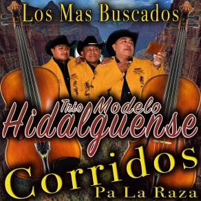 Download track El Lazca Trio Modelo Hidalgunese