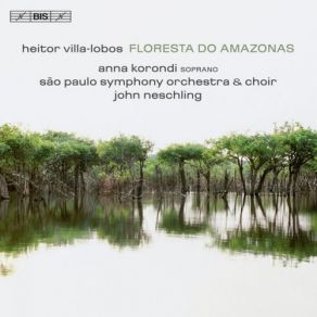 Download track Floresta Do Amazonas Cair Da Tarde (Twilight) Sao Paulo Symphony Orchestra, John NeschlingTwilight