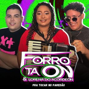 Download track Chorei Na Vaquejada (Cover) Forró Ta On E Lorena Do Acordeon