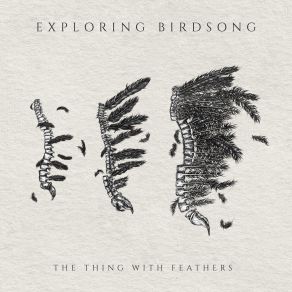 Download track The River Exploring Birdsong