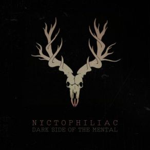 Download track Hidden Galaxies Nyctophiliac