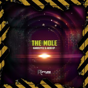 Download track Frozen In Time (Original Mix) The Mole