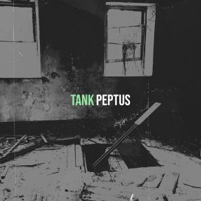 Download track No Panic (Radio Edit) Peptus