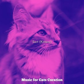 Download track Subdued (Kittens) Music For Cats Curation