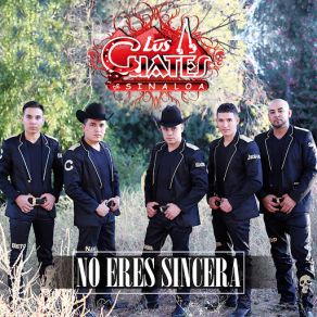 Download track No Eres Sincera Los Cuates De Sinaloa