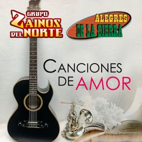 Download track Mis Canciones De Amor Los Zainos Del Norte