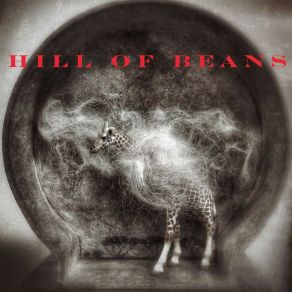 Download track State Of Grace Hill Of Beans