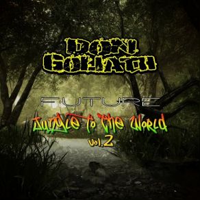 Download track Do Not Let Em Fool You Don GoliathReggae General