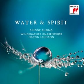 Download track Nachtlied, Op. 138, No. 3 Windsbacher Knabenchor