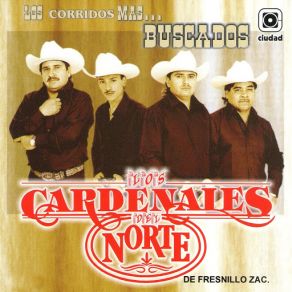 Download track Campos De Amapóla Los Cardenales Del Norte