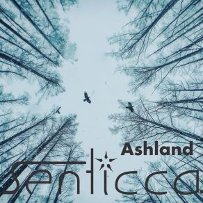 Download track Ashland Groove Senticca