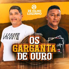 Download track To Gostando De Voçe Ze Filho