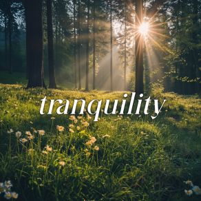 Download track Tranquility FOBO