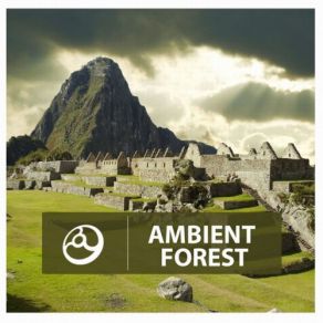 Download track Forest Of Wishes Kliment