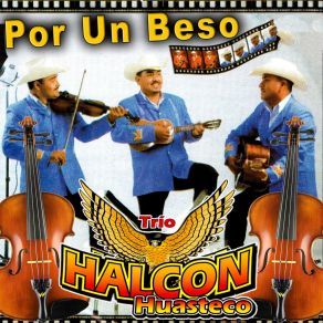 Download track Las Medias Negras Trio Halcon Huasteco