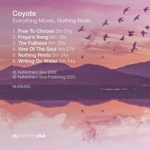 Download track Freya's Song (Original Mix) Coyote