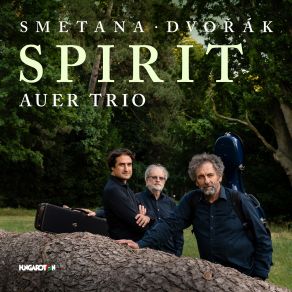 Download track Piano Trio In G Minor, Op. 15, JB 1: 64: I. Moderato Assai' Auer Trio