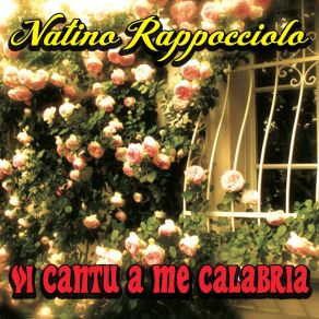 Download track VI Cantu In Allegria Natino Rappocciolo