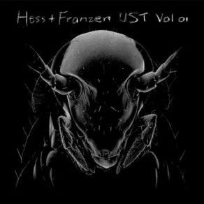 Download track Asymmetric Warfare Hess, Franzen