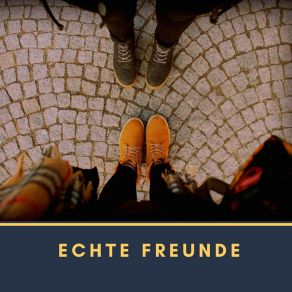 Download track Das Schlusslicht Maxim Erle