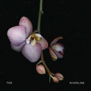 Download track Foxglove Tor