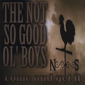 Download track What You Need The Not So Good Ol' Boys