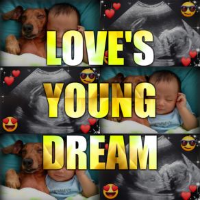 Download track Love's Young Dream Mailman