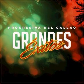 Download track Flor De La Canela La Progresiva Del Callao