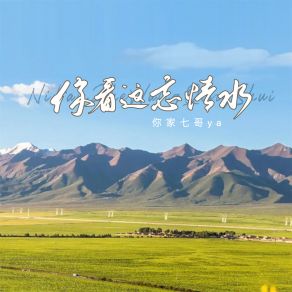 Download track 你看这忘情水 你家七哥ya