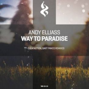 Download track Way To Paradise (Bart Panco Orchestral Remix) Andy Elliass