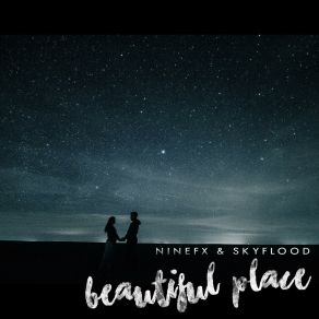 Download track Beautiful Place SkyFlood