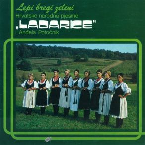 Download track Turopoljski Drmeš ANSAMBL 'LADARICE'