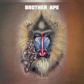 Download track Let The Right One In Brother Ape