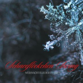 Download track Weihnachtlicher Vibraphon Klang Weihnachtslieder Stars