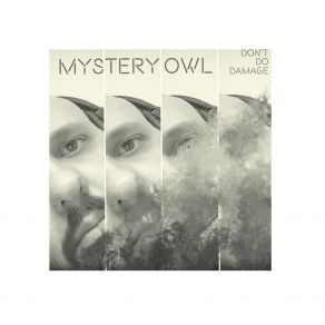 Download track Fluoride In The Water Mystery Owl