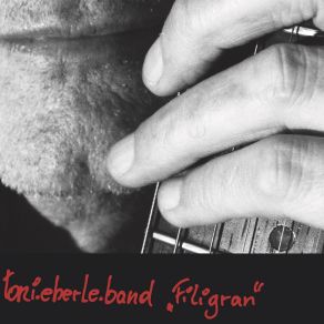 Download track Schneewittchen Toni Eberle Band