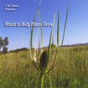 Download track The Refugee (After Hurricane Ike) F. M. Turner