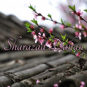 Download track To Paradise Sharazad Dahan