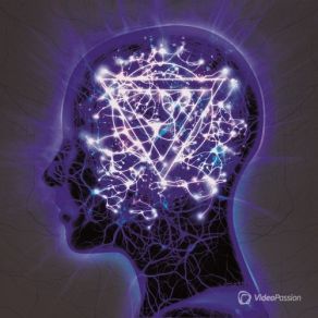 Download track Myopia Enter Shikari