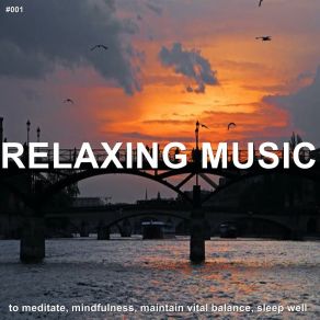 Download track Celestial Feelings Relaxing Spa Music