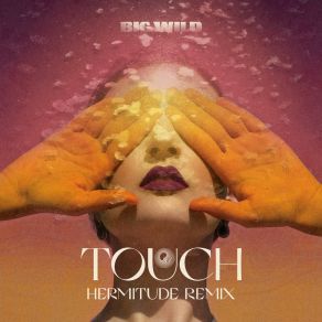 Download track Touch (Poolside Remix) HermitudePoolside