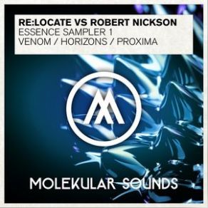 Download track Venom (Original Mix) Robert Nickson, Relocate