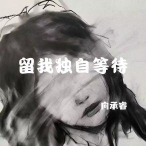 Download track 释怀才是必杀技 向承睿