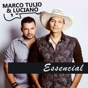 Download track Caderno (Ao Vivo) Luciano