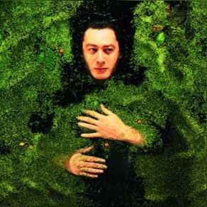 Download track Mes Prisons Alain Bashung